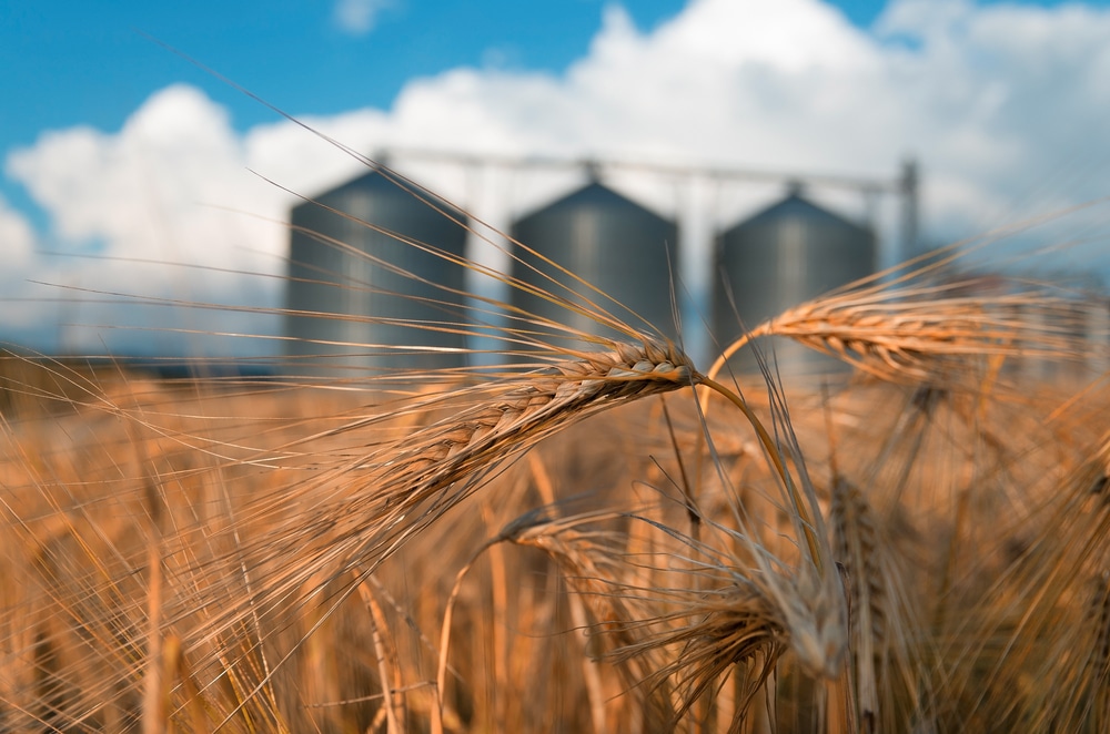 Investir dans les matières premières : pourquoi pas vous ?